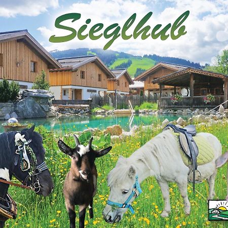 Sieglhub Chalets - Appartements - Hotel فلاخاو المظهر الخارجي الصورة