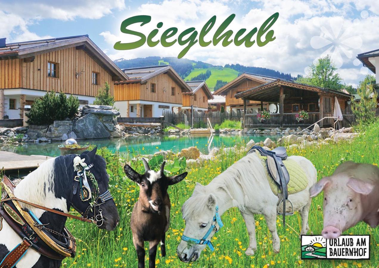 Sieglhub Chalets - Appartements - Hotel فلاخاو المظهر الخارجي الصورة